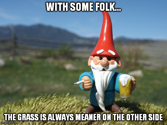Advice gnome | WITH SOME FOLK... THE GRASS IS ALWAYS MEANER ON THE OTHER SIDE | image tagged in we all know one,or two,one uppers,know-it-alls | made w/ Imgflip meme maker