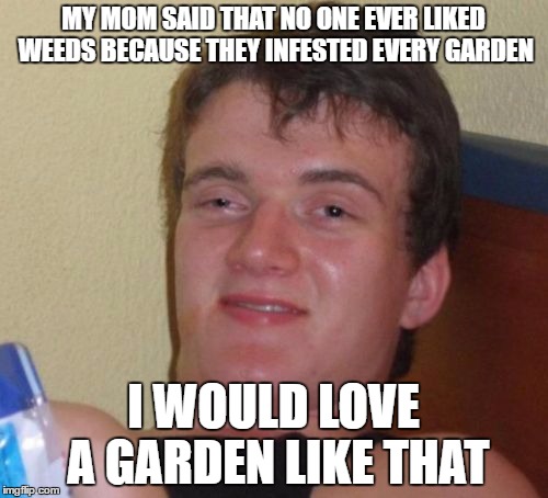 MY MOM SAID THAT NO ONE EVER LIKED WEEDS BECAUSE THEY INFESTED EVERY GARDEN I WOULD LOVE A GARDEN LIKE THAT | image tagged in memes,10 guy | made w/ Imgflip meme maker