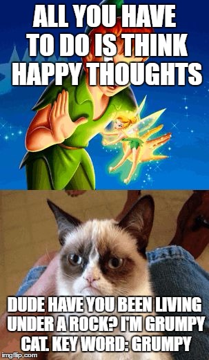 Grumpy Cat Does Not Believe Meme | ALL YOU HAVE TO DO IS THINK HAPPY THOUGHTS; DUDE HAVE YOU BEEN LIVING UNDER A ROCK? I'M GRUMPY CAT. KEY WORD: GRUMPY | image tagged in memes,grumpy cat does not believe | made w/ Imgflip meme maker