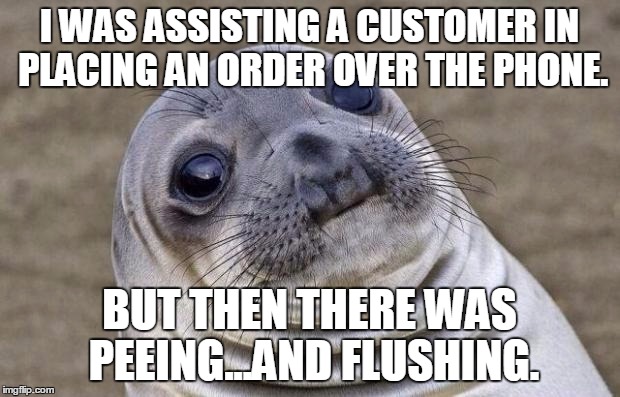 Awkward Moment Sealion Meme | I WAS ASSISTING A CUSTOMER IN PLACING AN ORDER OVER THE PHONE. BUT THEN THERE WAS PEEING...AND FLUSHING. | image tagged in memes,awkward moment sealion,AdviceAnimals | made w/ Imgflip meme maker
