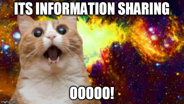 cats | ITS INFORMATION SHARING; OOOOO! | image tagged in cats | made w/ Imgflip meme maker