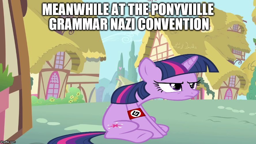 MEANWHILE AT THE PONYVIILLE GRAMMAR NAZI CONVENTION | image tagged in grammar nazi twilight sparkle | made w/ Imgflip meme maker