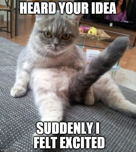 HEARD YOUR IDEA SUDDENLY I FELT EXCITED | image tagged in omg_cat | made w/ Imgflip meme maker