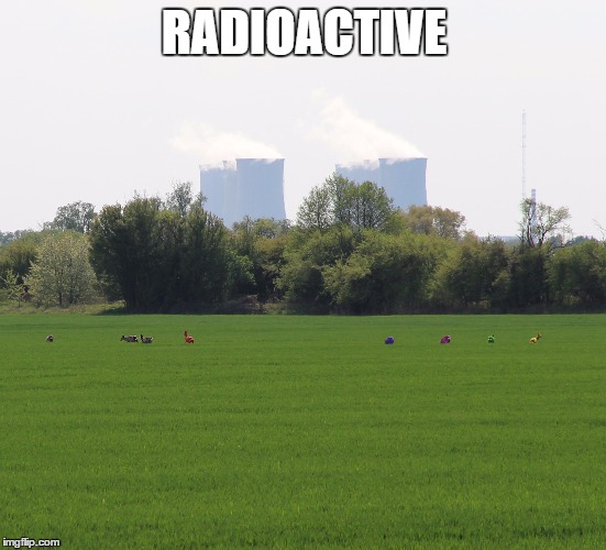 RADIOACTIVE | image tagged in radioactive,meme,funny,memes,fun,animals | made w/ Imgflip meme maker