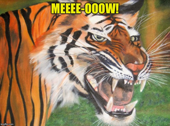 Hipster tiger | MEEEE-OOOW! | image tagged in hipster tiger | made w/ Imgflip meme maker