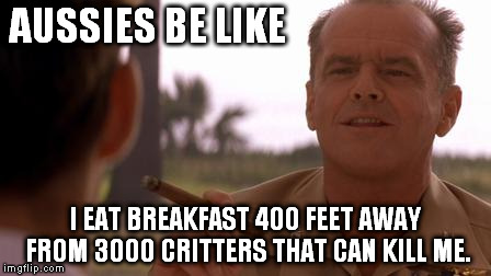 Australians |  AUSSIES BE LIKE; I EAT BREAKFAST 400 FEET AWAY FROM 3000 CRITTERS THAT CAN KILL ME. | image tagged in funny,memes,australia,a few good men,jack nicholson | made w/ Imgflip meme maker