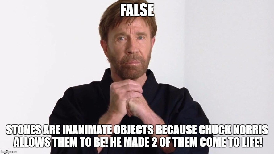 Chuck Norris | FALSE STONES ARE INANIMATE OBJECTS BECAUSE CHUCK NORRIS ALLOWS THEM TO BE! HE MADE 2 OF THEM COME TO LIFE! | image tagged in chuck norris | made w/ Imgflip meme maker