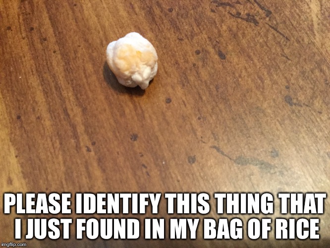 Thank God I always wash my rice before cooking it. | PLEASE IDENTIFY THIS THING THAT I JUST FOUND IN MY BAG OF RICE | image tagged in rice | made w/ Imgflip meme maker