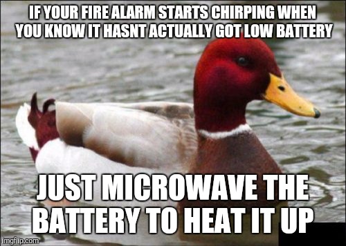 Malicious Advice Mallard | IF YOUR FIRE ALARM STARTS CHIRPING WHEN YOU KNOW IT HASNT ACTUALLY GOT LOW BATTERY; JUST MICROWAVE THE BATTERY TO HEAT IT UP | image tagged in memes,malicious advice mallard,AdviceAnimals | made w/ Imgflip meme maker