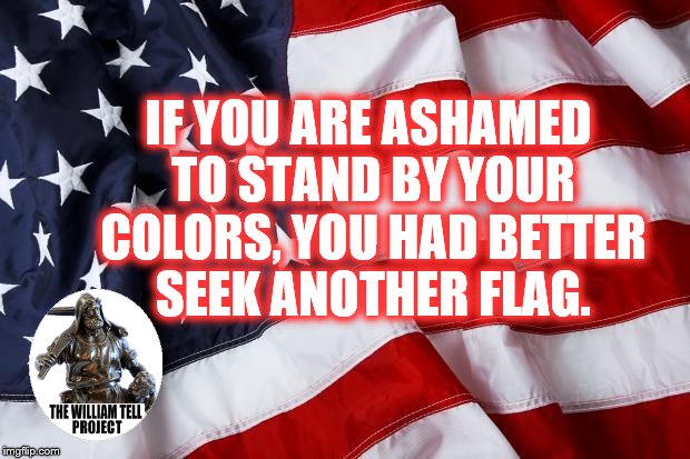 American Flag | IF YOU ARE ASHAMED TO STAND BY YOUR COLORS, YOU HAD BETTER SEEK ANOTHER FLAG. | image tagged in american flag | made w/ Imgflip meme maker