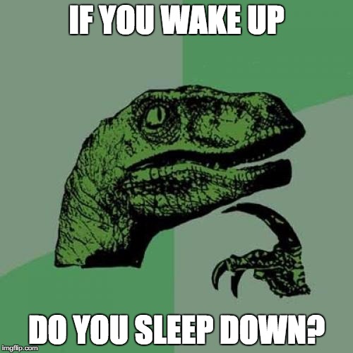 Philosoraptor Meme | IF YOU WAKE UP; DO YOU SLEEP DOWN? | image tagged in memes,philosoraptor | made w/ Imgflip meme maker