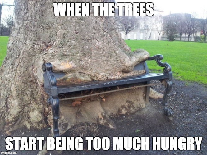 I was just walking and I saw that! |  WHEN THE TREES; START BEING TOO MUCH HUNGRY | image tagged in funny memes,what | made w/ Imgflip meme maker