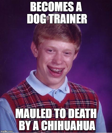 Bad Luck Brian Meme | BECOMES A DOG TRAINER; MAULED TO DEATH BY A CHIHUAHUA | image tagged in memes,bad luck brian | made w/ Imgflip meme maker