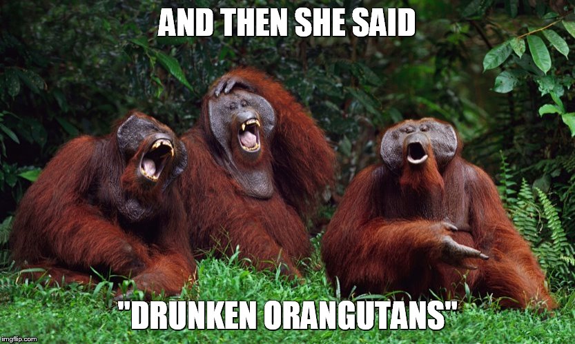 AND THEN SHE SAID "DRUNKEN ORANGUTANS" | made w/ Imgflip meme maker