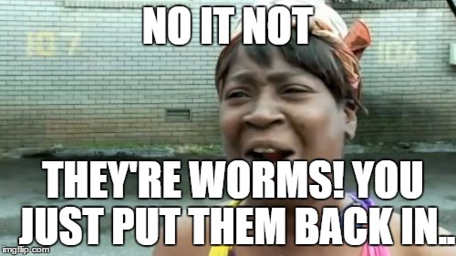 Ain't Nobody Got Time For That Meme | NO IT NOT THEY'RE WORMS! YOU JUST PUT THEM BACK IN.. | image tagged in memes,aint nobody got time for that | made w/ Imgflip meme maker