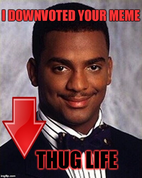 Yo Dawg | I DOWNVOTED YOUR MEME; THUG LIFE | image tagged in thug life,downvote | made w/ Imgflip meme maker