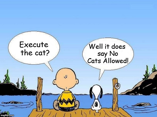 Snoopy  | Execute the cat? Well it does say No Cats Allowed! | image tagged in snoopy | made w/ Imgflip meme maker