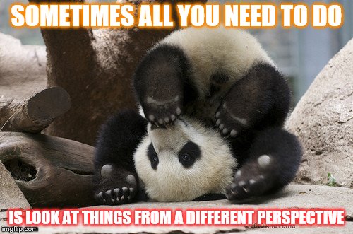 It can't hurt | SOMETIMES ALL YOU NEED TO DO; IS LOOK AT THINGS FROM A DIFFERENT PERSPECTIVE | image tagged in upside down panda | made w/ Imgflip meme maker