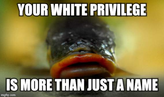 YOUR WHITE PRIVILEGE IS MORE THAN JUST A NAME | made w/ Imgflip meme maker