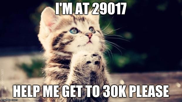 Cute Cat Praying | I'M AT 29017; HELP ME GET TO 30K PLEASE | image tagged in cute cat praying | made w/ Imgflip meme maker