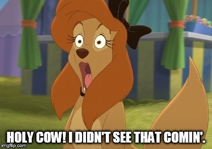 Holy Cow! I Didn't See That Comin'! | HOLY COW! I DIDN'T SEE THAT COMIN'. | image tagged in dixie stunned,memes,disney,the fox and the hound 2,reba mcentire,dog | made w/ Imgflip meme maker