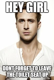 Ryan Gosling | HEY GIRL; DONT FORGET TO LEAVE THE TOILET SEAT UP | image tagged in memes,ryan gosling | made w/ Imgflip meme maker