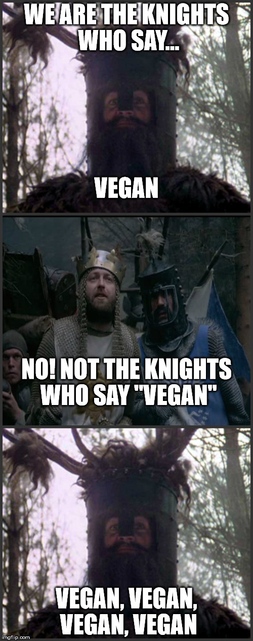 Vegan | WE ARE THE KNIGHTS WHO SAY... VEGAN; NO! NOT THE KNIGHTS WHO SAY "VEGAN"; VEGAN, VEGAN, VEGAN, VEGAN | image tagged in vegan,monty python,holy grail,food,allergies | made w/ Imgflip meme maker