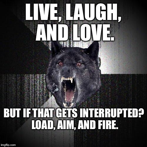 Well, that's one way to deal with it. But I wouldn't recommend it: | LIVE, LAUGH, AND LOVE. BUT IF THAT GETS INTERRUPTED? LOAD, AIM, AND FIRE. | image tagged in memes,insanity wolf | made w/ Imgflip meme maker