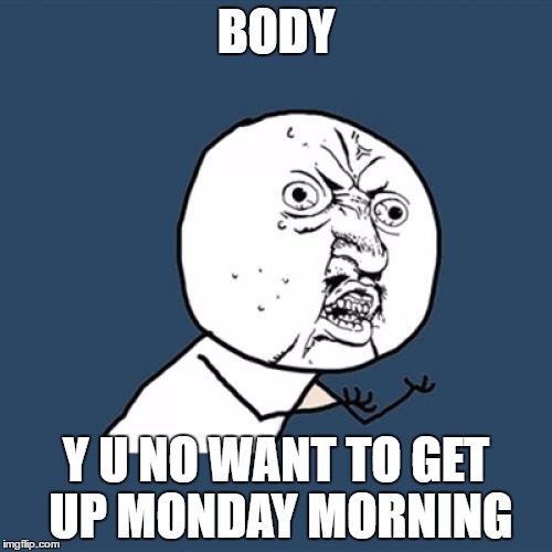 Y U No | BODY; Y U NO WANT TO GET UP MONDAY MORNING | image tagged in memes,y u no | made w/ Imgflip meme maker