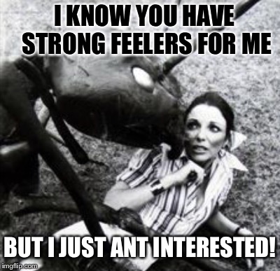 JUST BE BLUNT WITH "THEM!" | I KNOW YOU HAVE STRONG FEELERS FOR ME; BUT I JUST ANT INTERESTED! | image tagged in movie,horror | made w/ Imgflip meme maker