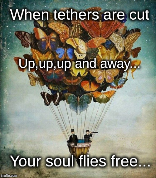 Fly to freedom |  When tethers are cut; Up,up,up and away... Your soul flies free... | image tagged in general | made w/ Imgflip meme maker