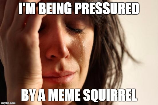 First World Problems Meme | I'M BEING PRESSURED BY A MEME SQUIRREL | image tagged in memes,first world problems | made w/ Imgflip meme maker