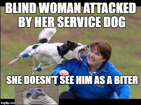 Ace Biting A Face | BLIND WOMAN ATTACKED BY HER SERVICE DOG; SHE DOESN'T SEE HIM AS A BITER | image tagged in dog,bite,blind,memes,pun,funny | made w/ Imgflip meme maker