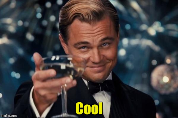Leonardo Dicaprio Cheers Meme | Cool | image tagged in memes,leonardo dicaprio cheers | made w/ Imgflip meme maker