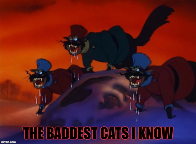 Bad cats |  THE BADDEST CATS I KNOW | image tagged in cats | made w/ Imgflip meme maker