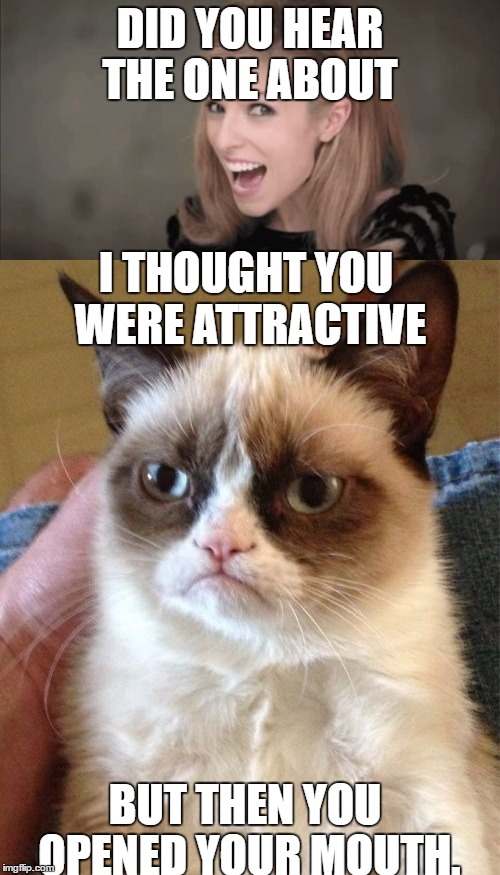 Grumpy cat meets Anna Kendrick  | DID YOU HEAR THE ONE ABOUT; I THOUGHT YOU WERE ATTRACTIVE; BUT THEN YOU OPENED YOUR MOUTH. | image tagged in grumpy cat,bad pun anna kendrick | made w/ Imgflip meme maker