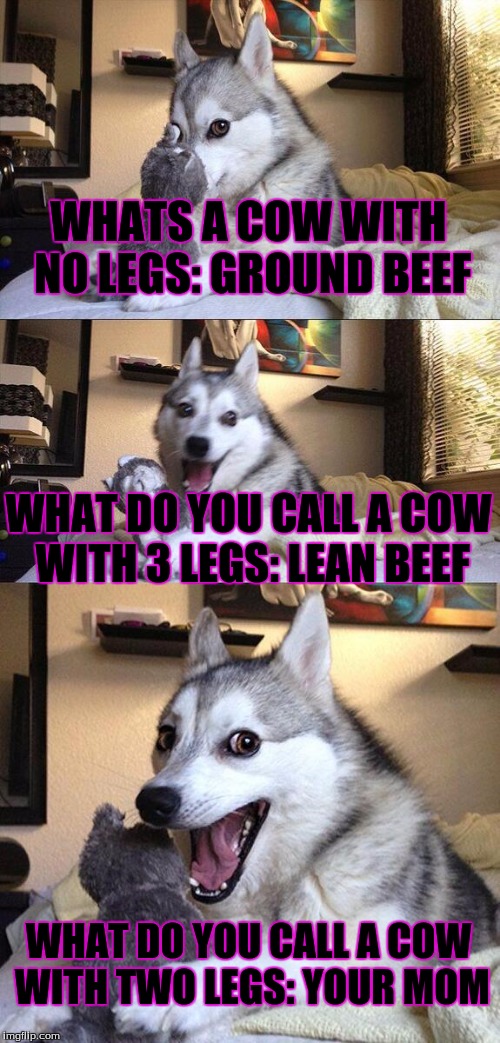 Bad Pun Dog Meme | WHATS A COW WITH NO LEGS: GROUND BEEF; WHAT DO YOU CALL A COW WITH 3 LEGS: LEAN BEEF; WHAT DO YOU CALL A COW WITH TWO LEGS: YOUR MOM | image tagged in memes,bad pun dog | made w/ Imgflip meme maker