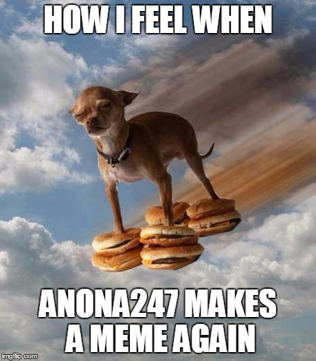 HOW I FEEL WHEN ANONA247 MAKES A MEME AGAIN | made w/ Imgflip meme maker