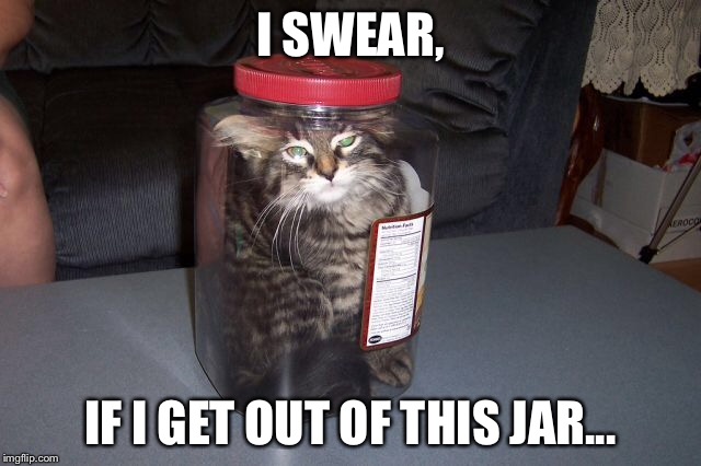 Thought life was difficult, but then i saw this. | I SWEAR, IF I GET OUT OF THIS JAR... | image tagged in memes | made w/ Imgflip meme maker