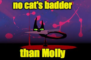 no cat's badder than Molly | made w/ Imgflip meme maker