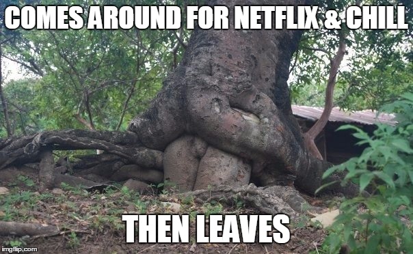 COMES AROUND FOR NETFLIX & CHILL THEN LEAVES | made w/ Imgflip meme maker