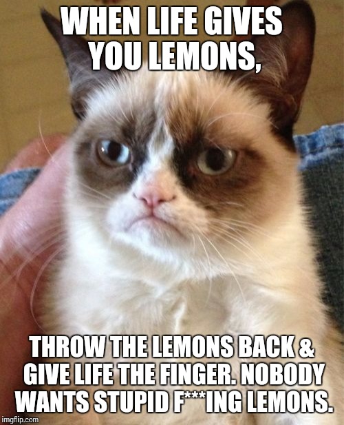 Grumpy Cat Meme | WHEN LIFE GIVES YOU LEMONS, THROW THE LEMONS BACK & GIVE LIFE THE FINGER. NOBODY WANTS STUPID F***ING LEMONS. | image tagged in memes,grumpy cat | made w/ Imgflip meme maker