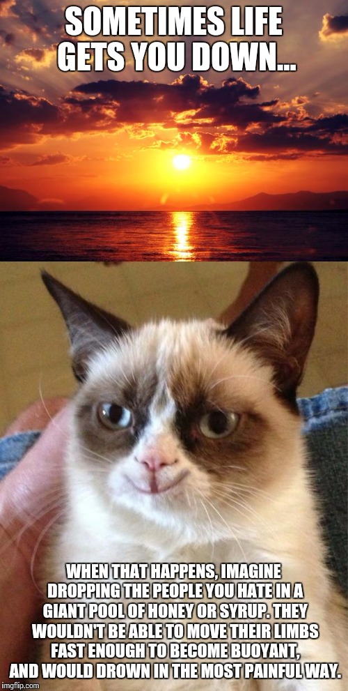 Grumpy cat version of those inspirational motivational 