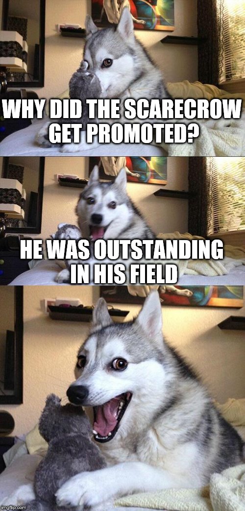 Bad Pun Dog Meme | WHY DID THE SCARECROW GET PROMOTED? HE WAS OUTSTANDING IN HIS FIELD | image tagged in memes,bad pun dog | made w/ Imgflip meme maker