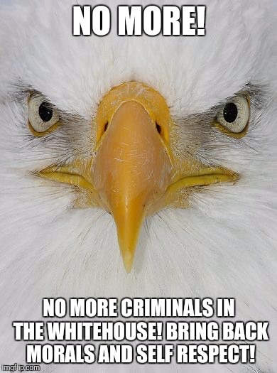 NO MORE! NO MORE CRIMINALS IN THE WHITEHOUSE! BRING BACK MORALS AND SELF RESPECT! | image tagged in eagle | made w/ Imgflip meme maker
