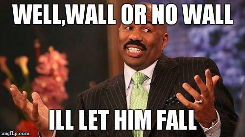 Steve Harvey Meme | WELL,WALL OR NO WALL ILL LET HIM FALL | image tagged in memes,steve harvey | made w/ Imgflip meme maker
