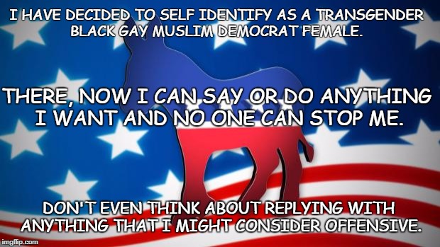 Democrats | I HAVE DECIDED TO SELF IDENTIFY AS A TRANSGENDER BLACK GAY MUSLIM DEMOCRAT FEMALE. THERE, NOW I CAN SAY OR DO ANYTHING I WANT AND NO ONE CAN STOP ME. DON'T EVEN THINK ABOUT REPLYING WITH ANYTHING THAT I MIGHT CONSIDER OFFENSIVE. | image tagged in democrats | made w/ Imgflip meme maker
