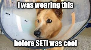 Sci-Fi Hipster | I was wearing this; before SETI was cool | image tagged in aliens,nasa,hipster,dog,science fiction | made w/ Imgflip meme maker