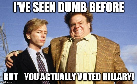 Tommy Boy | I'VE SEEN DUMB BEFORE; BUT    YOU ACTUALLY VOTED HILLARY! | image tagged in tommy boy | made w/ Imgflip meme maker