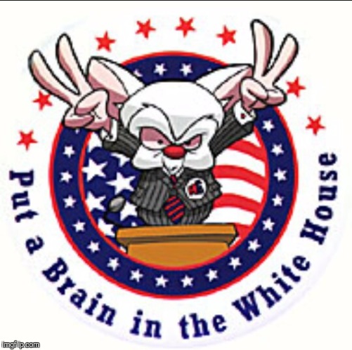 brain white house | . | image tagged in brain white house | made w/ Imgflip meme maker